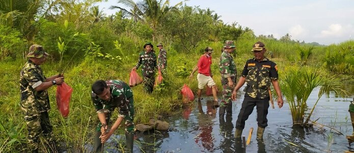 Kodim 0601/Pandeglang Tanam Mangrove untuk Kelestarian Alam