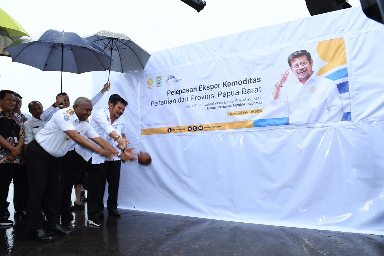 Mentan Syahrul Ekspor Buah Merah dari Sorong ke Cekoslowakia