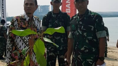 5000 Pohon Ketapang Ditanam di Pesisir PLTU Banten 2 Labuan