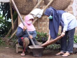 Nurmadanis Bebaskan Petani Kopi Sinagar dari Tengkulak hingga Ekspor ke Eropa