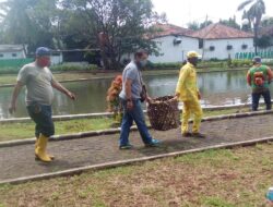 Wartawan Cilegon Bersihkan Taman Geger dalam Peringatan HPN
