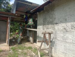 Satgas Pamtas Yonif 642 Bantu Perbaiki Gereja Warga