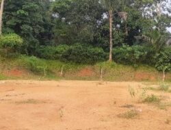 Oknum Lurah Kota Serang Dipolisikan Usai Rusak Lahan Warga