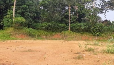 Oknum Lurah Kota Serang Dipolisikan Usai Rusak Lahan Warga