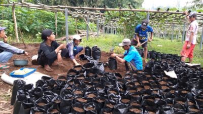 Kemensos Dorong Penyelenggaraan Kesejahteraan Sosial di Indonesia