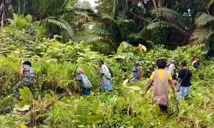 Satgas Yonif 143/TWEJ Bersama Warga Bersihkan Semak Papua untuk Cegah Malaria