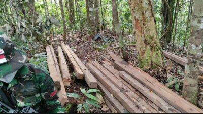 Satgas Yonif 407 Temukan Kayu Hasil Pembalakan Liar Saat Patroli Patok Perbatasan