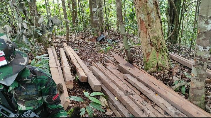 Satgas Yonif 407 Temukan Kayu Hasil Pembalakan Liar Saat Patroli Patok Perbatasan