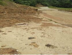 Aktivis Kritik Pembangunan Jalan Citorek-Warung Banten