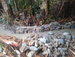 Kades Kemuning Diduga Kurang Paham Program P3-TGAI, Hanya Ikut Saja