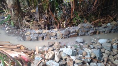 Kades Kemuning Diduga Kurang Paham Program P3-TGAI, Hanya Ikut Saja