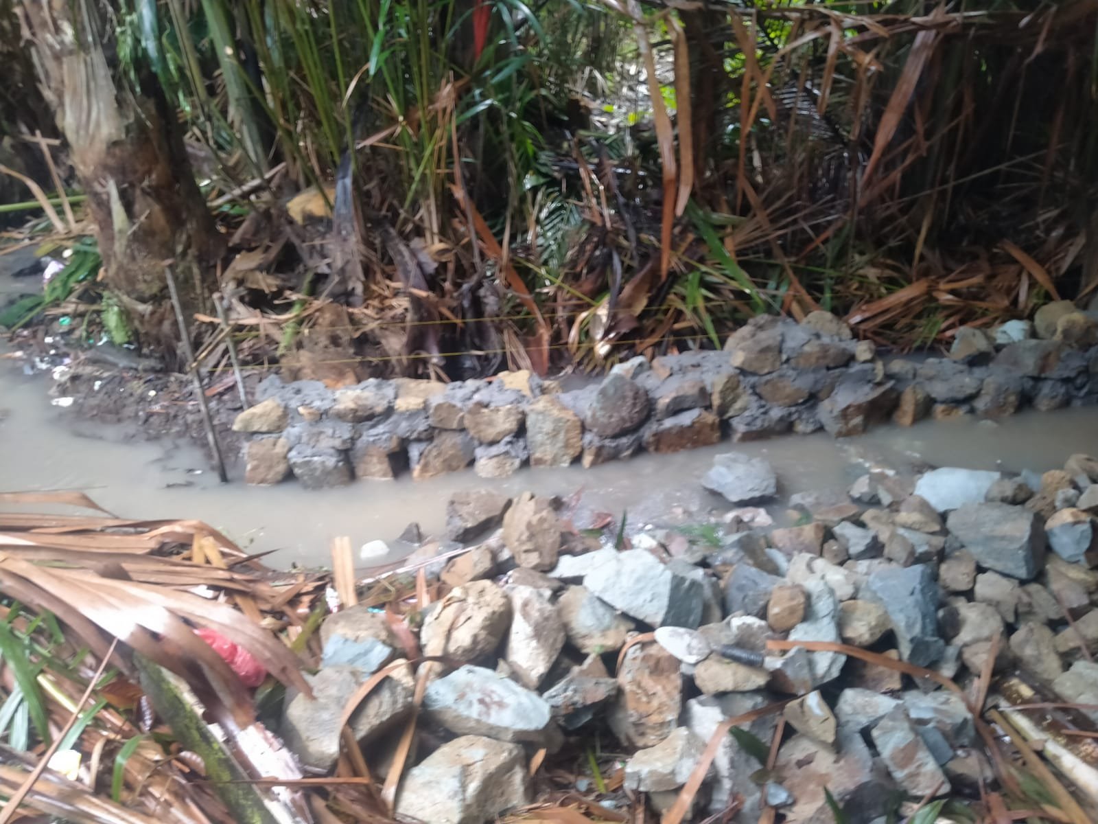 Kades Kemuning Diduga Kurang Paham Program P3-TGAI, Hanya Ikut Saja