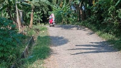 DPMPD Pandeglang Berupaya Tak Kecolongan Lagi