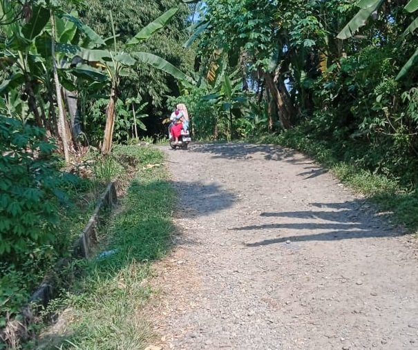 DPMPD Pandeglang Berupaya Tak Kecolongan Lagi