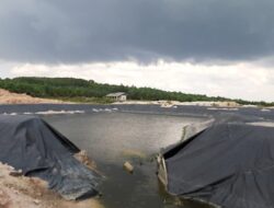 Pemanfaatan Air Laut Tambak Udang PT BAS Diduga Tak Berizin, Direktur Sebut Sedang Diprocess