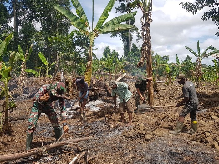 Satgas Yonif 143/TWEJ Sukseskan Ketahanan Pangan dengan Buka Lahan dan Berkebun di Perbatasan