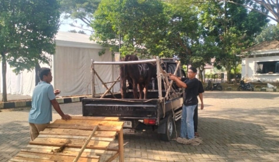 Daging Kurban Masjid Al-Bantani Hilang ke Kantor Pemerintah, Warga Tak Dapat Sepotong