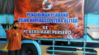 Peternak Blitar Gandeng PT Berdikari Distribusikan Telur Ayam