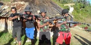 KKB Tembak Dua Warga Papua di Ilaga