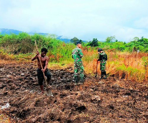 Personel Kesatria Jaya Satgas YR 142/KJ Bantu Warga Buka Lahan Perkebunan