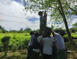 Satgas RI-PNG Yonif 131/Braja Sakti Bangun Lapangan Voli untuk Salurkan Hobi Warga