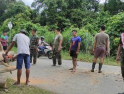 Warga dan Satgas Yonif 143/TWEJ Sigap Bersihkan Pohon Tumbang