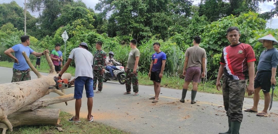Warga dan Satgas Yonif 143/TWEJ Sigap Bersihkan Pohon Tumbang