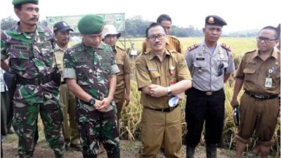 Agus Tauhid: Banten Peringkat Sembilan Produsen Beras Terbesar di Indonesia