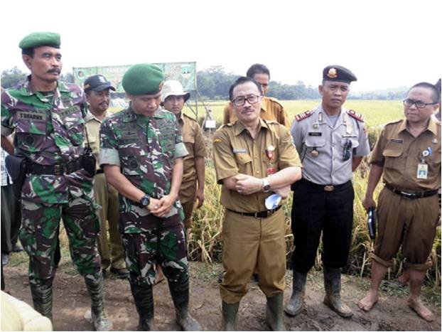 Agus Tauhid: Banten Peringkat Sembilan Produsen Beras Terbesar di Indonesia