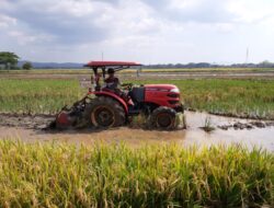 Gubernur Kalbar Berkomitmen Cegah Alih Fungsi Lahan Pertanian