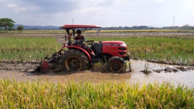 Gubernur Kalbar Berkomitmen Cegah Alih Fungsi Lahan Pertanian