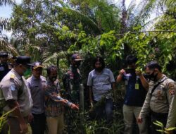 Sinergitas Yonif 407/PK dan Aparat Patroli Perbatasan Tingkatkan Keamanan