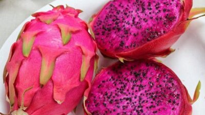 Diduga Fiktif, Proyek Buah Naga Desa Cikentrung Menuai Kontroversi