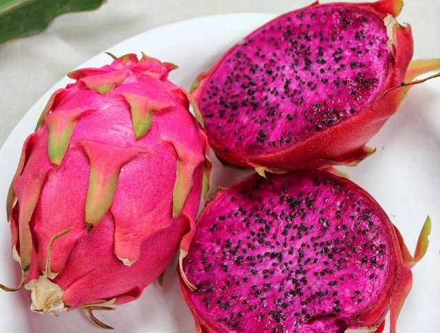 Diduga Fiktif, Proyek Buah Naga Desa Cikentrung Menuai Kontroversi