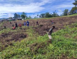 Satgas Pamtas Yonif 126/KC Dorong Ketahanan Pangan di Perbatasan RI-PNG