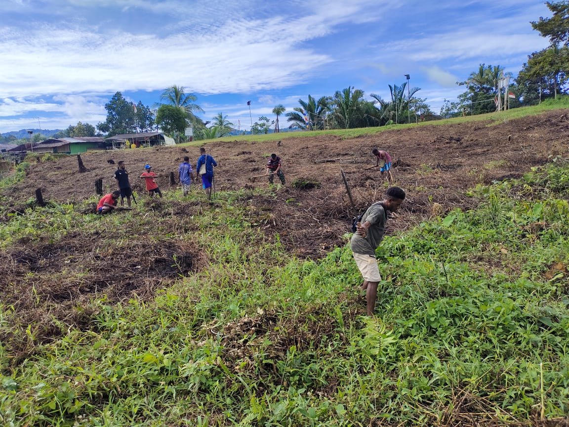 Satgas Pamtas Yonif 126/KC Dorong Ketahanan Pangan di Perbatasan RI-PNG