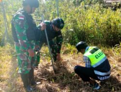 Satgas Yonif Raider 142/KJ Hijaukan Bumi Elelim dengan Gerakan Penanaman