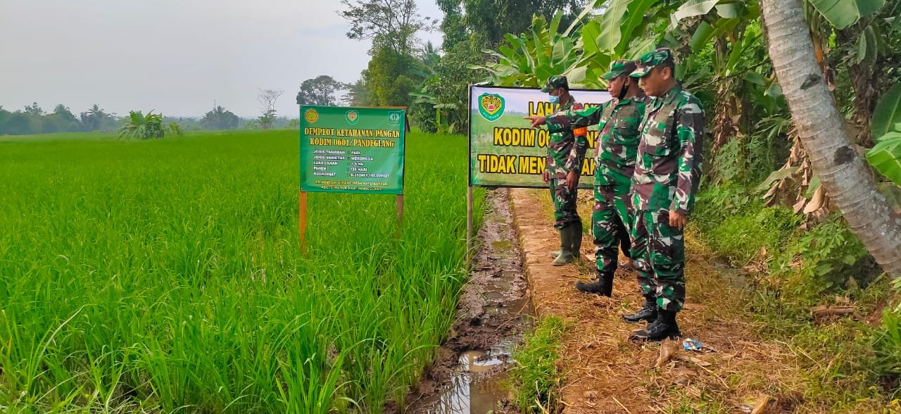 Dandim 0601 Pandeglang Dorong Petani Gunakan Bios 44