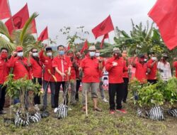 PDI Perjuangan Cilegon Tanam Bibit Penghijauan untuk Jaga Keasrian Lingkungan