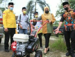 Wagub Banten Sebut Pandeglang-Lebak Jadi Lumbung Padi Banten