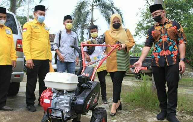 Wagub Banten Sebut Pandeglang-Lebak Jadi Lumbung Padi Banten