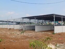 Pasar Kambing Cisalak Depok Dibongkar, Pedagang Merintih Keadilan