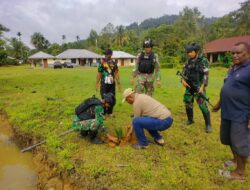 Satgas Yonif Raider 142/KJ Tanam Bibit Pinang untuk Lestarikan Tanaman Khas Papua