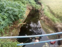 Petani Gagal Panen Diduga karena Limbah TPSA Cilowong