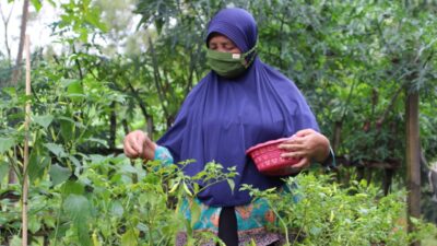 Program Keluarga Harapan Berdampak Positif bagi Keluarga Penerima