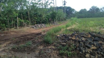 Penggunaan Dana Desa Suka Maju untuk Infrastruktur di Kecamatan Abung Tinggi