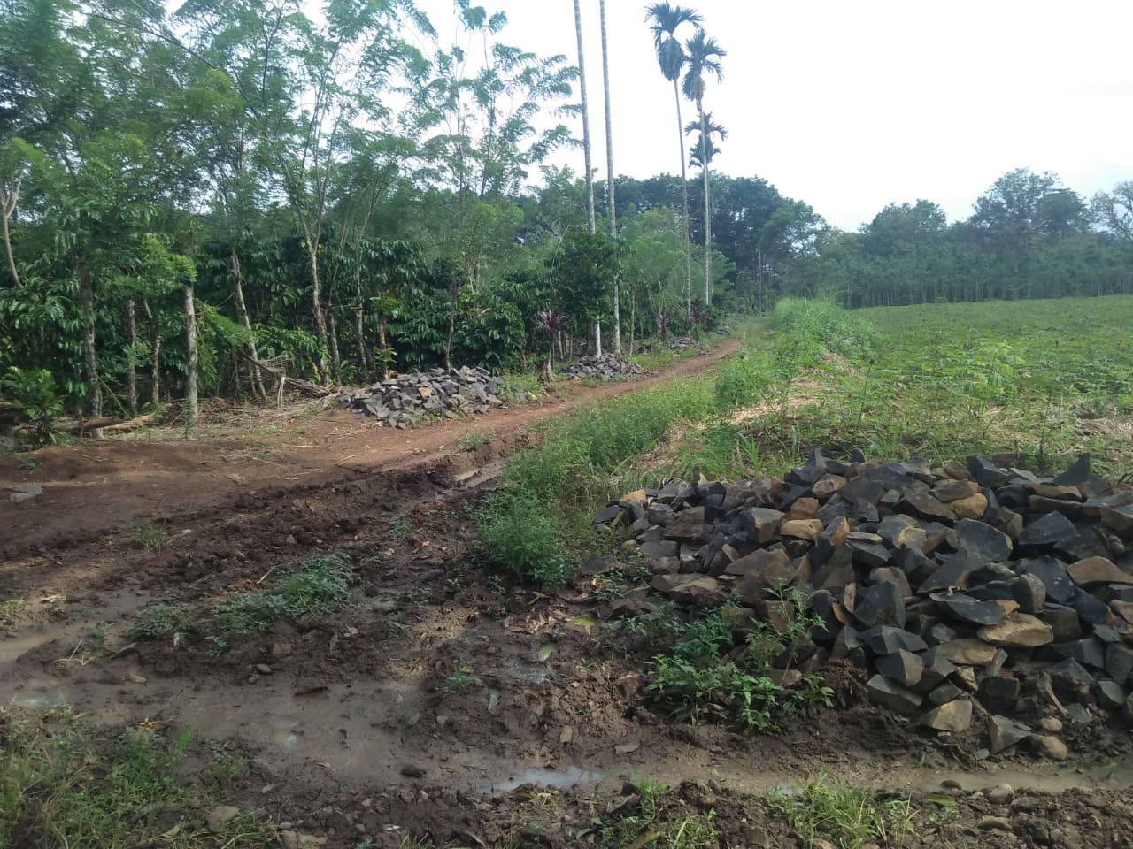 Penggunaan Dana Desa Suka Maju untuk Infrastruktur di Kecamatan Abung Tinggi