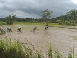 Petani Diminta Kurangi Ketergantungan pada Pupuk dan Pestisida Kimia