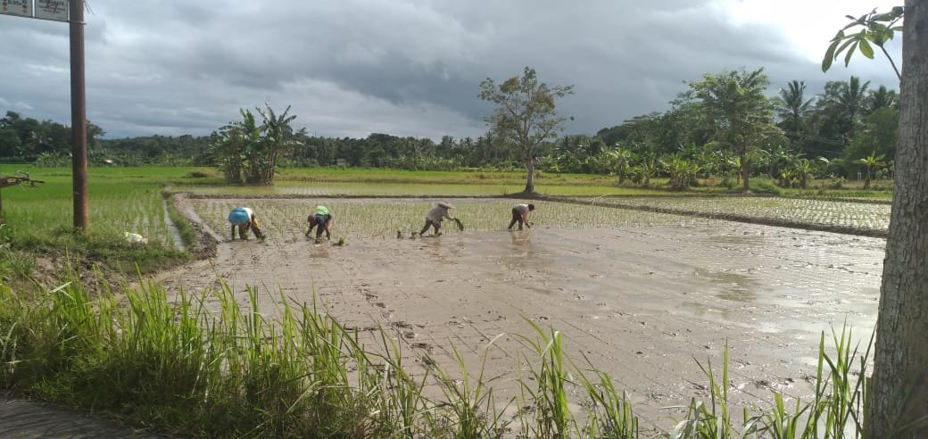 Petani Diminta Kurangi Ketergantungan pada Pupuk dan Pestisida Kimia