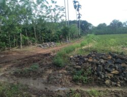 Pelaksanaan DD Sukamaju Tak Sesuai Laporan, Ada Apa?